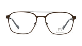 BD_590_col_55_Bloomdale01